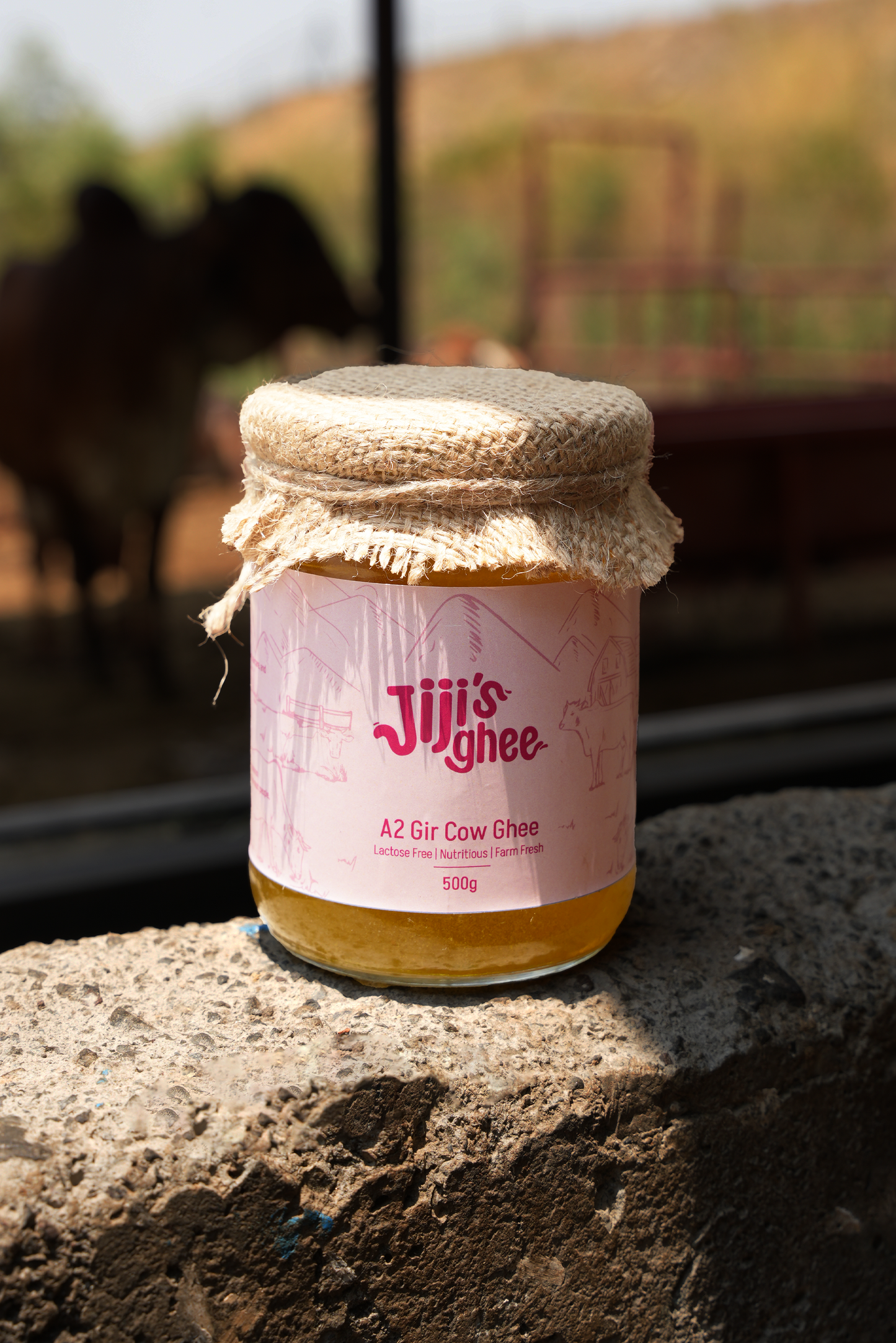 A2 Gir Cow Ghee - 500g